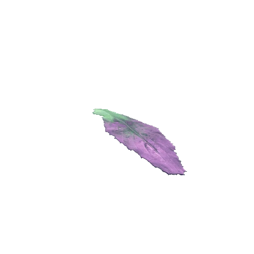 Diamond Cabbage D Leaf